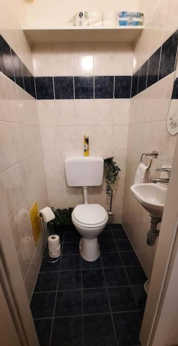 Einzigartiges Apartment Inkl. Gratis Parkplatz Wien Exteriör bild